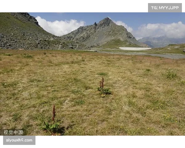 水资源紧张，美国西南部高尔夫球场如何应对限水令？